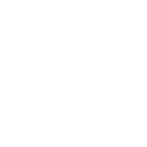 beauty influencer icon