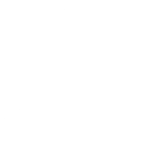 fashion influencer icon