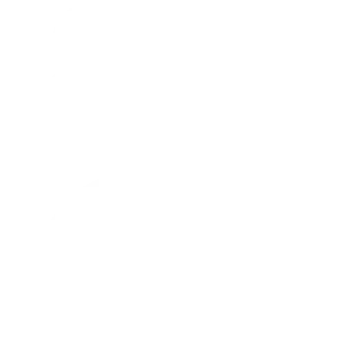 food influencer icon